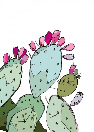 Prickly Pear In Bloom Image