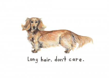 Long Hair Don’t Care Image